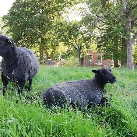 'T Winkeltje - Vakantiehuisje Op Boerderij Huize Blokland Hem Exterior foto
