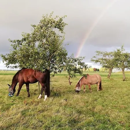 'T Winkeltje - Vakantiehuisje Op Boerderij Huize Blokland Hem Exterior foto