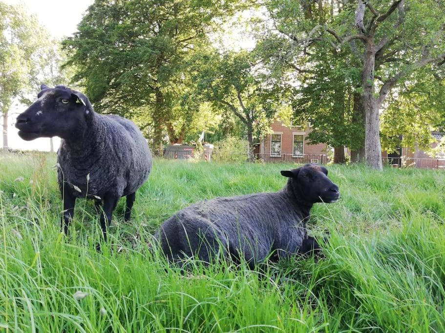 't Winkeltje - Op Boerderij Huize Blokland