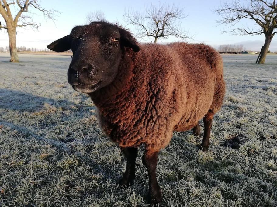 't Winkeltje - Op Boerderij Huize Blokland