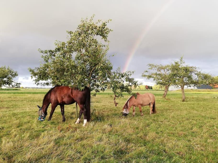 't Winkeltje - Op Boerderij Huize Blokland Holiday home